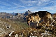 60 Dori rientra sul sentiero 